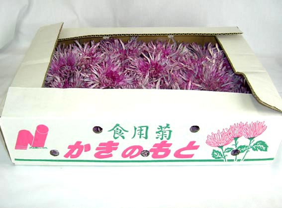 食用菊「かきのもと」1kg画像
