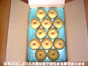 �ʕ��̗��@5����